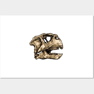 Dinosaur Skull Psittacosaurus Sticker Posters and Art